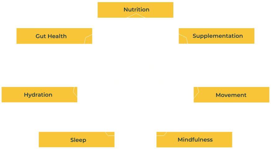 7 points playbook